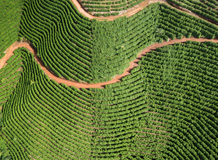 Satélite e IA mapeiam lavouras para evitar desmatamento