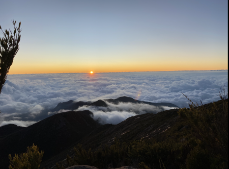 Regiões produtoras ampliam presença na SIC
