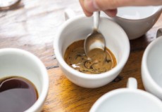 Nova metodologia para avaliação de café solúvel será destaque na SIC