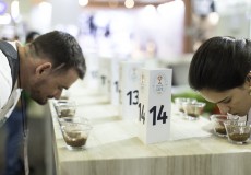 Conheça os finalistas do Coffee of the Year 2023!