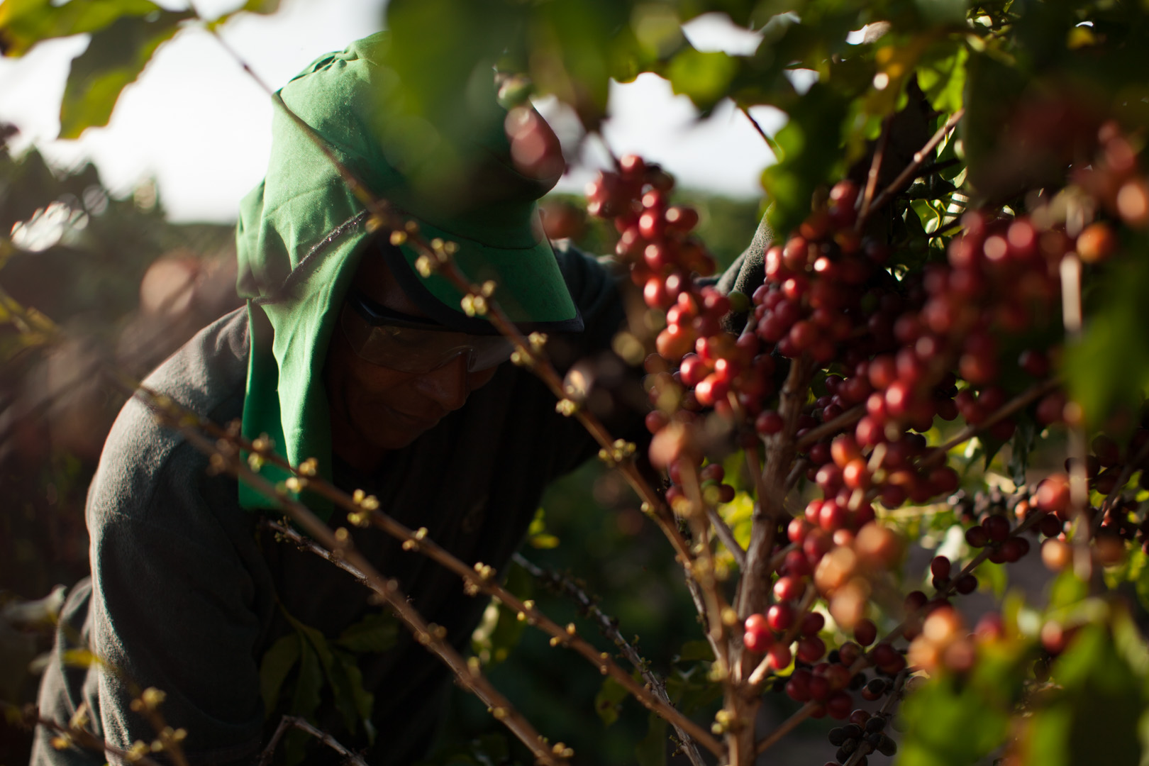 Prefeitura Municipal participa palestra sobre Cultivo de Café